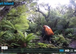 video-Stuart-Island-NZ
