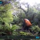video-Stuart-Island-NZ